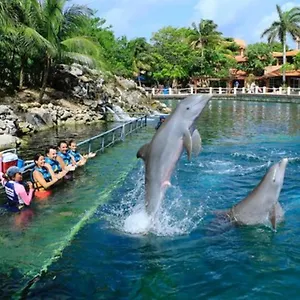 Increible Estudio En Puerto Aventuras, Con Alberca # 201 Apartamento